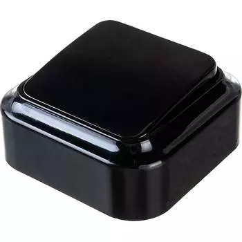 Одноклавишный выключатель BYLECTRICA ПРАЛЕСКА А16-131 черный