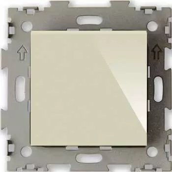 Одноклавишный выключатель CGSS Эстетика GL-W101-BGG