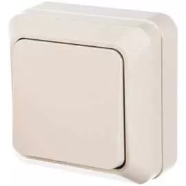 Одноклавишный выключатель EKF Рим ENV10-021-10