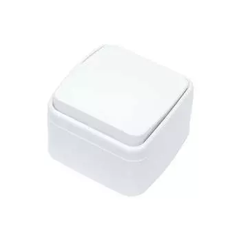 Одноклавишный выключатель EKF Минск ОП Basic EGV10-021-10