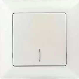 Одноклавишный выключатель Intro Solo 4-102-06 Б0053568