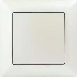 Одноклавишный выключатель Intro Solo 4-101-06 Б0053551