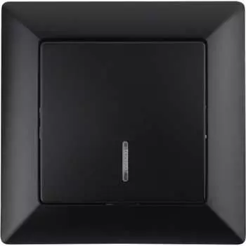 Одноклавишный выключатель Intro Solo 4-102-05 Б0053566