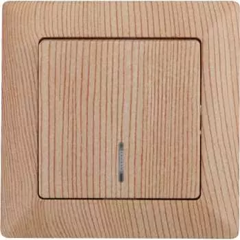 Одноклавишный выключатель Intro Solo 4-102-11 Б0053572