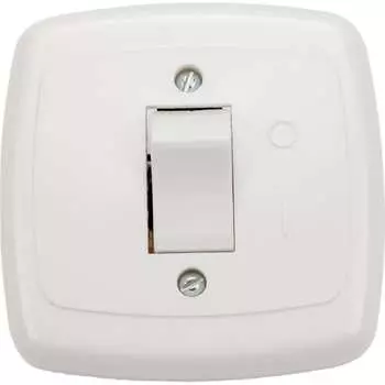 Одноклавишный выключатель ООО Ливны-Электро С1-002 УХЛ 4 ВСП 11