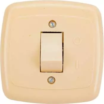 Одноклавишный выключатель ООО Ливны-Электро С1-002 УХЛ 4 ВСП 12