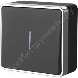 Одноклавишный выключатель WERKEL WL15-01-04 a041691