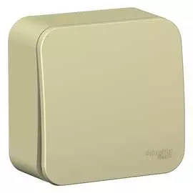 Одноклавишный выключатель Systeme Electric Blanca BLNVA101017