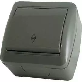 Одноклавишный выключатель TDM ELECTRIC Селигер SQ1818-0111