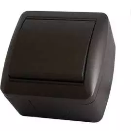 Одноклавишный выключатель TDM ELECTRIC Селигер SQ1818-0201