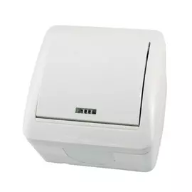 Одноклавишный выключатель TDM ELECTRIC Селигер SQ1818-0003