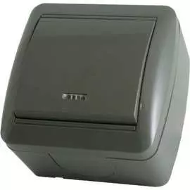 Одноклавишный выключатель TDM ELECTRIC Селигер SQ1818-0103