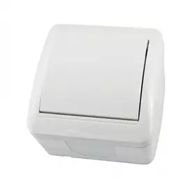 Одноклавишный выключатель TDM ELECTRIC Селигер SQ1818-0001