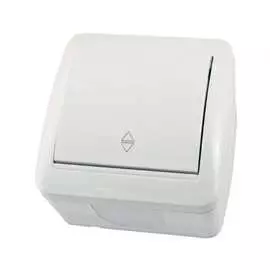 Одноклавишный выключатель TDM ELECTRIC Селигер SQ1818-0011