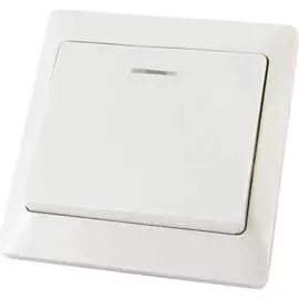 Одноклавишный выключатель TDM ELECTRIC Ильмень SQ1823-0003