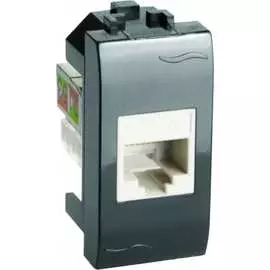 Одноместная компьютерная розетка DKC Brava 77654N