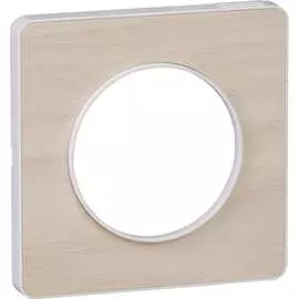 Одноместная рамка Schneider Electric