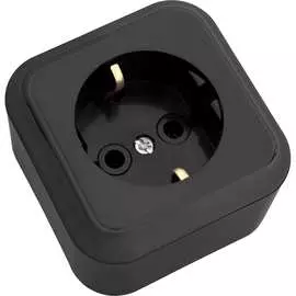 Одноместная розетка BYLECTRICA ПРАЛЕСКА РА16-254 черный