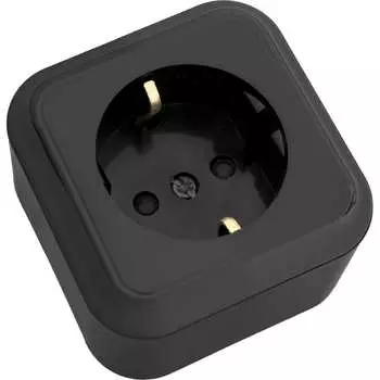 Одноместная розетка BYLECTRICA серия ПРАЛЕСКА РА16-280 черный