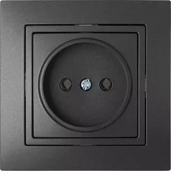 Одноместная розетка BYLECTRICA УЮТ РС16-344 графит