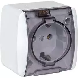 Одноместная розетка EKF Владивосток EQR16-029-30-54-T