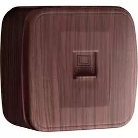 Одноместная розетка EKF Минск Phone EGT01-034-40