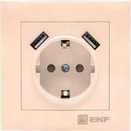 Одноместная розетка EKF Валенсия PROxima EWR16-028-20-2USB