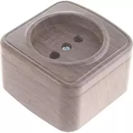 Одноместная розетка EKF Минск EGR10-022-40