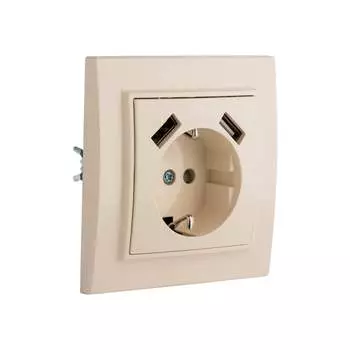 Одноместная розетка EKF Минск ERR16-028-200-2USB