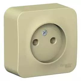 Одноместная розетка Systeme Electric Blanca BLNRA000117