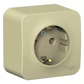 Одноместная розетка Systeme Electric Blanca BLNRA010117