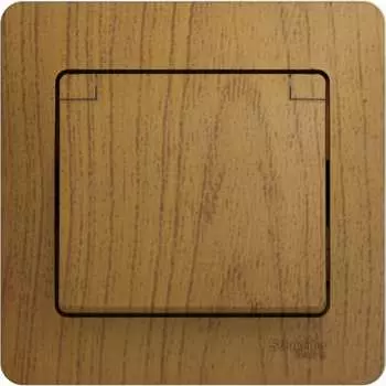 Одноместная розетка Systeme Electric GLOSSA GSL000546