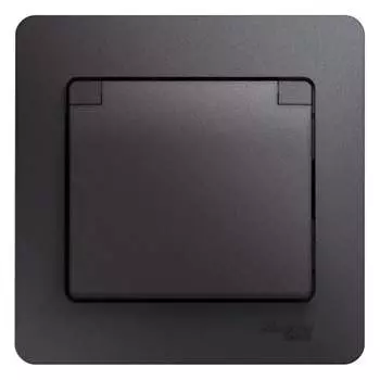 Одноместная розетка Systeme Electric GLOSSA GSL001346