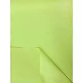 Однотонная рулонная штора Peora 66997