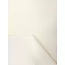 Однотонная рулонная штора Peora 66967