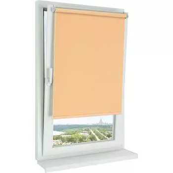 Однотонная рулонная штора Peora 68483