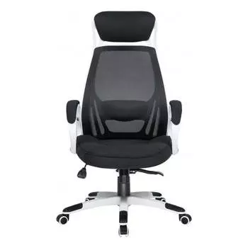 Офисное кресло для руководителей DOBRIN STEVEN WHITE LMR-109BL_W-P_MSH-white