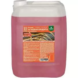 Огнебиозащита для древесины PROSEPT 064-10 И
