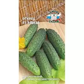 Огурцец семена СеДек