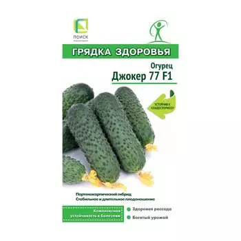 Огурец Агрохолдинг ПОИСК Джокер 77 F1 (А) 831787