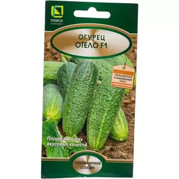 Огурец Агрохолдинг ПОИСК Отело F1 400312