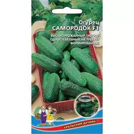 Огурец-корнишон семена Уральский дачник