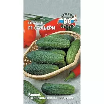 Огурец СеДек Сальери F1 (ХИТ ранний, ПК, ПУ, тепл, 10-13см, 90-120г, 18кг/кв.м, без пустот, стандарт, транспортаб I0000001518