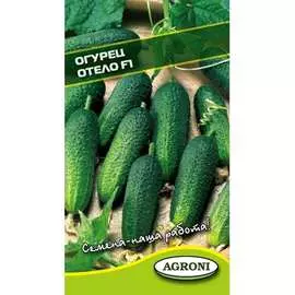 Огурец семена Агрони