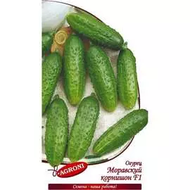 Огурец семена Агрони