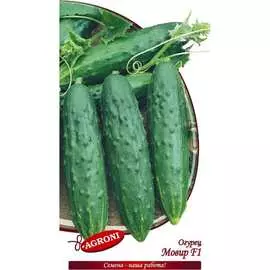 Огурец семена Агрони