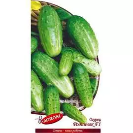 Огурец семена Агрони