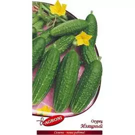 Огурец семена Агрони