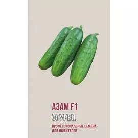 Огурец семена Агрони