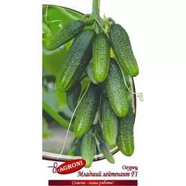 Огурец семена Агрони